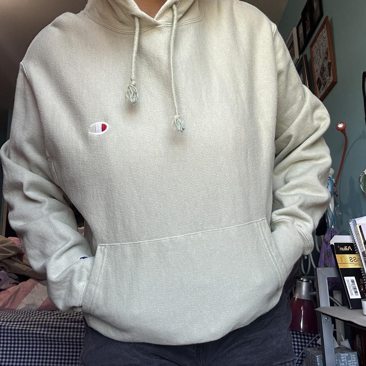 Sage clearance champion hoodie