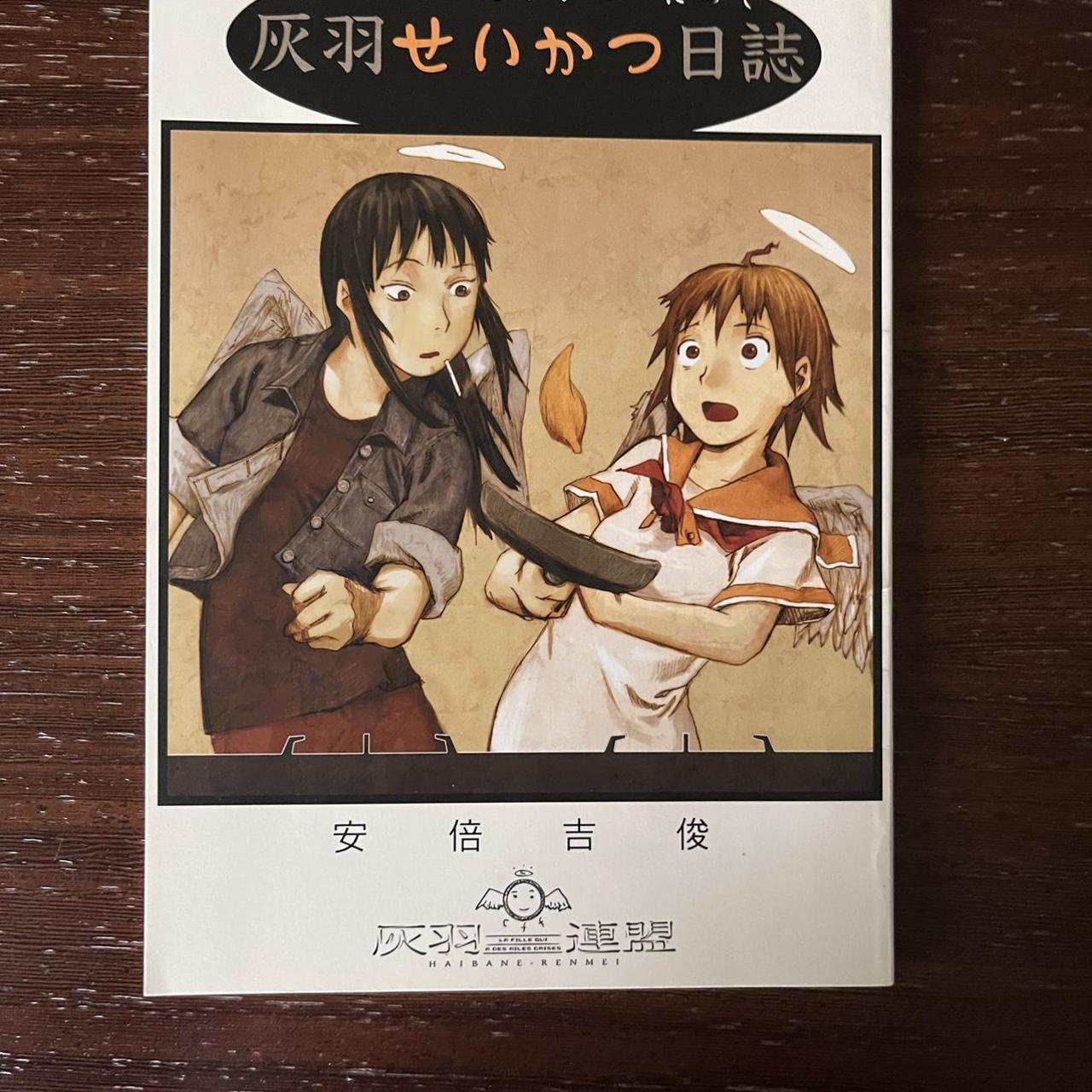 Rare Yoshitoshi Abe Haibane renmei old home art... - Depop