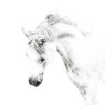 heavymachina's profile picture