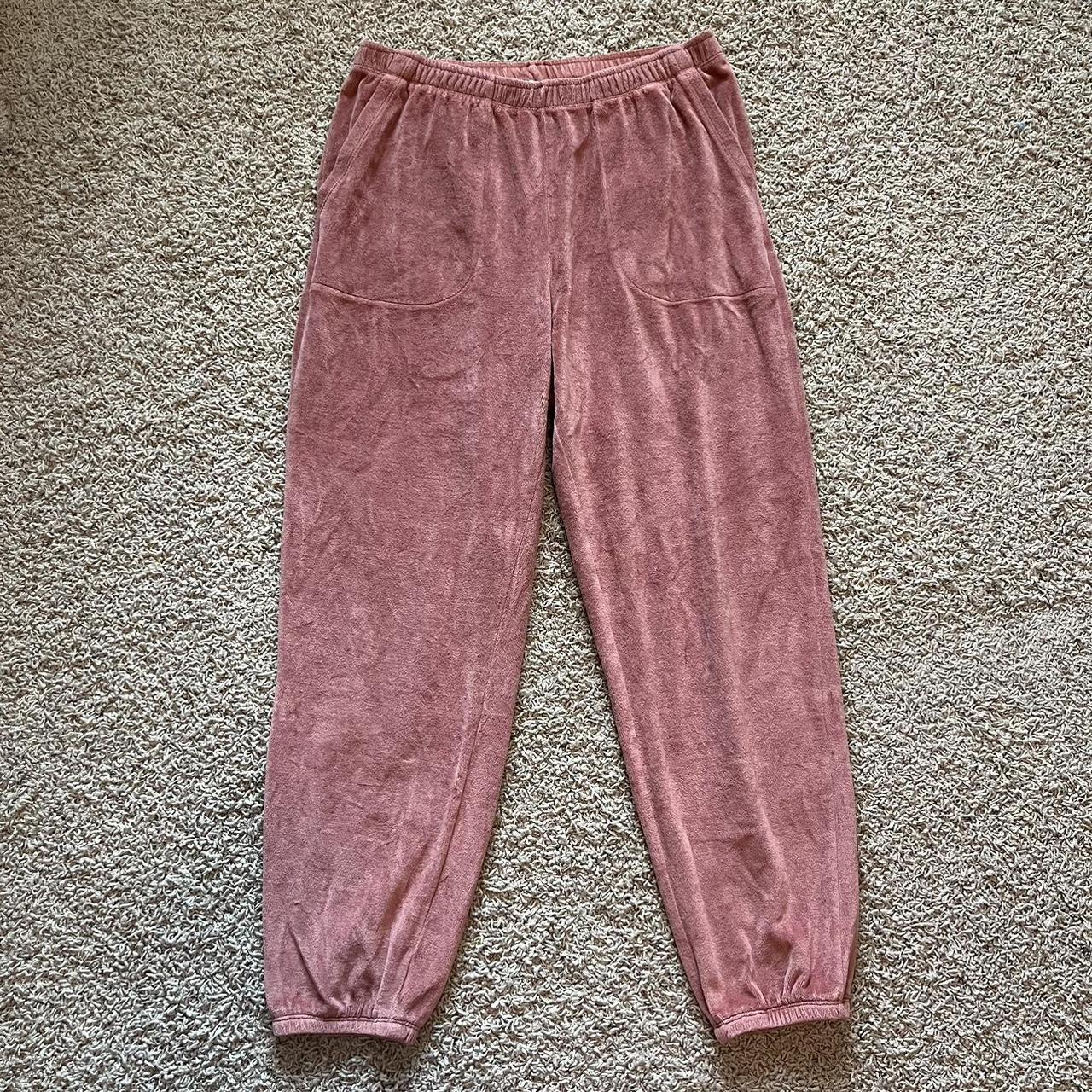 Aerie discount velour joggers