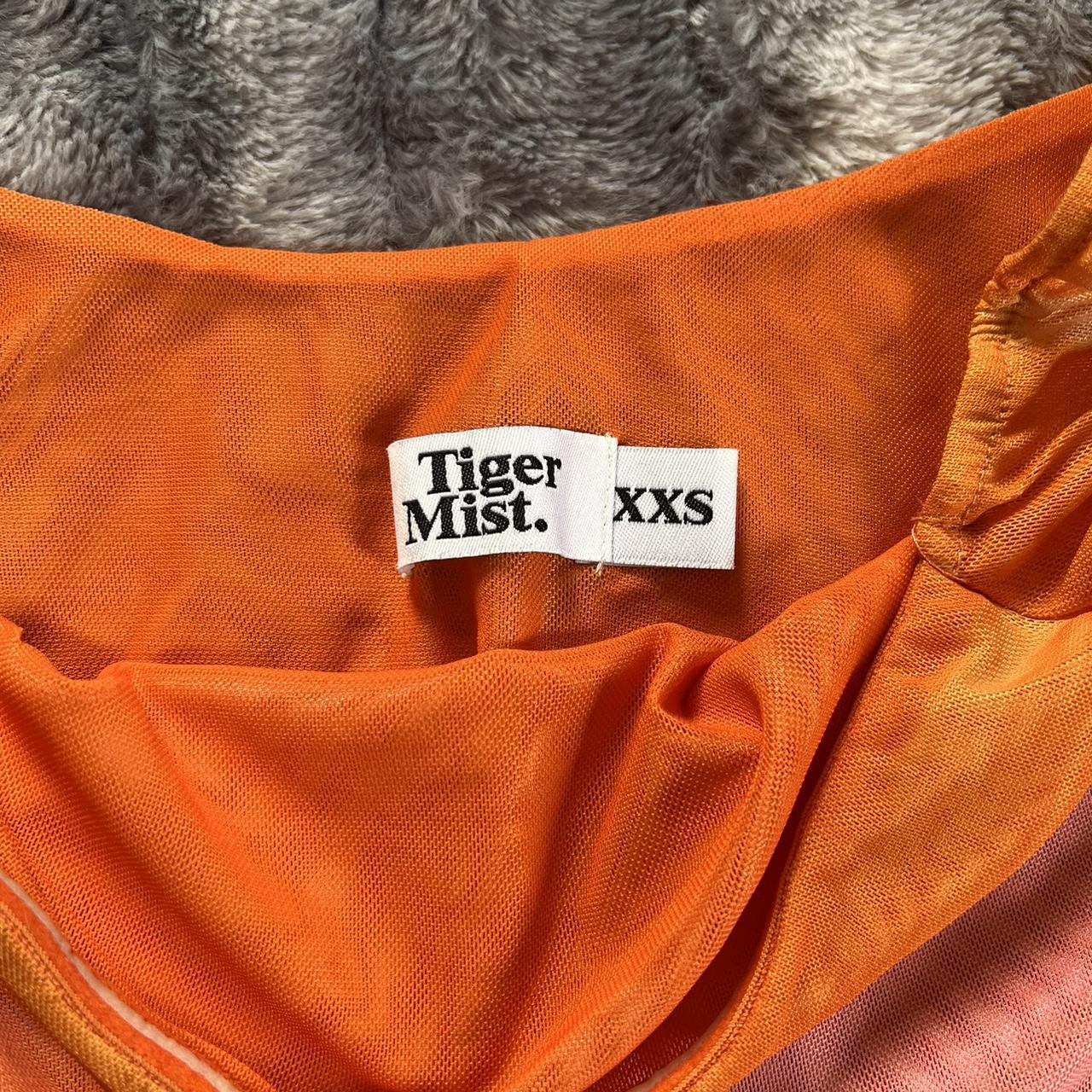 Tiger Mist mesh floral top and skirt set ⋆｡𖦹°‧★... - Depop