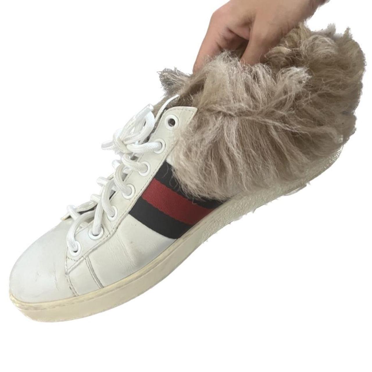 Gucci on sale fur ace