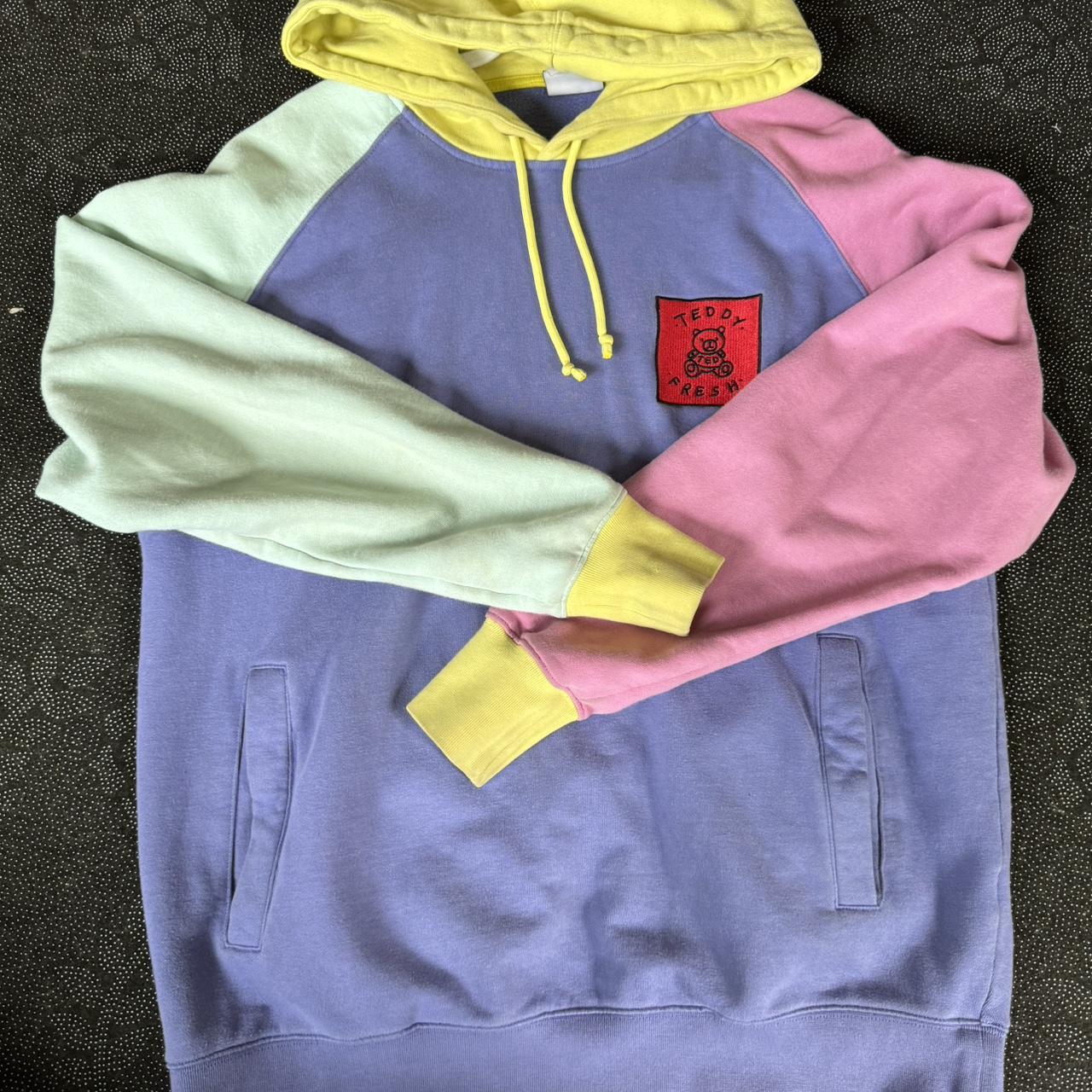 Pastel teddy hoodie online