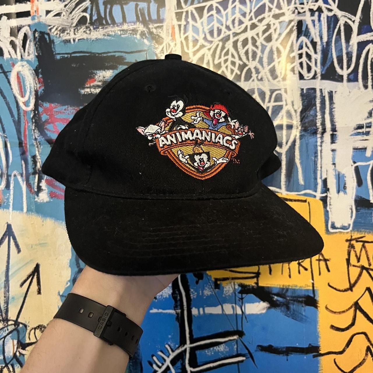 Warner Bros. Men's multi Hat | Depop