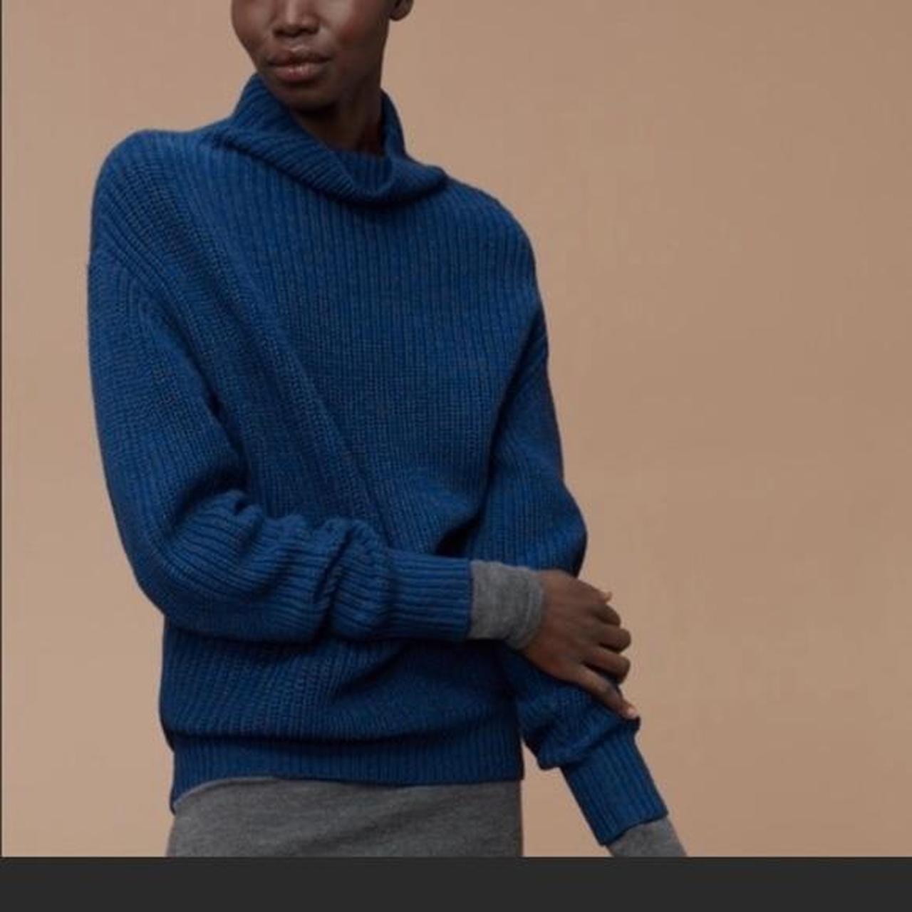 Aritzia hot sale blue sweater