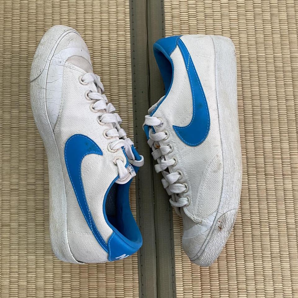 Nike all cheap court canvas