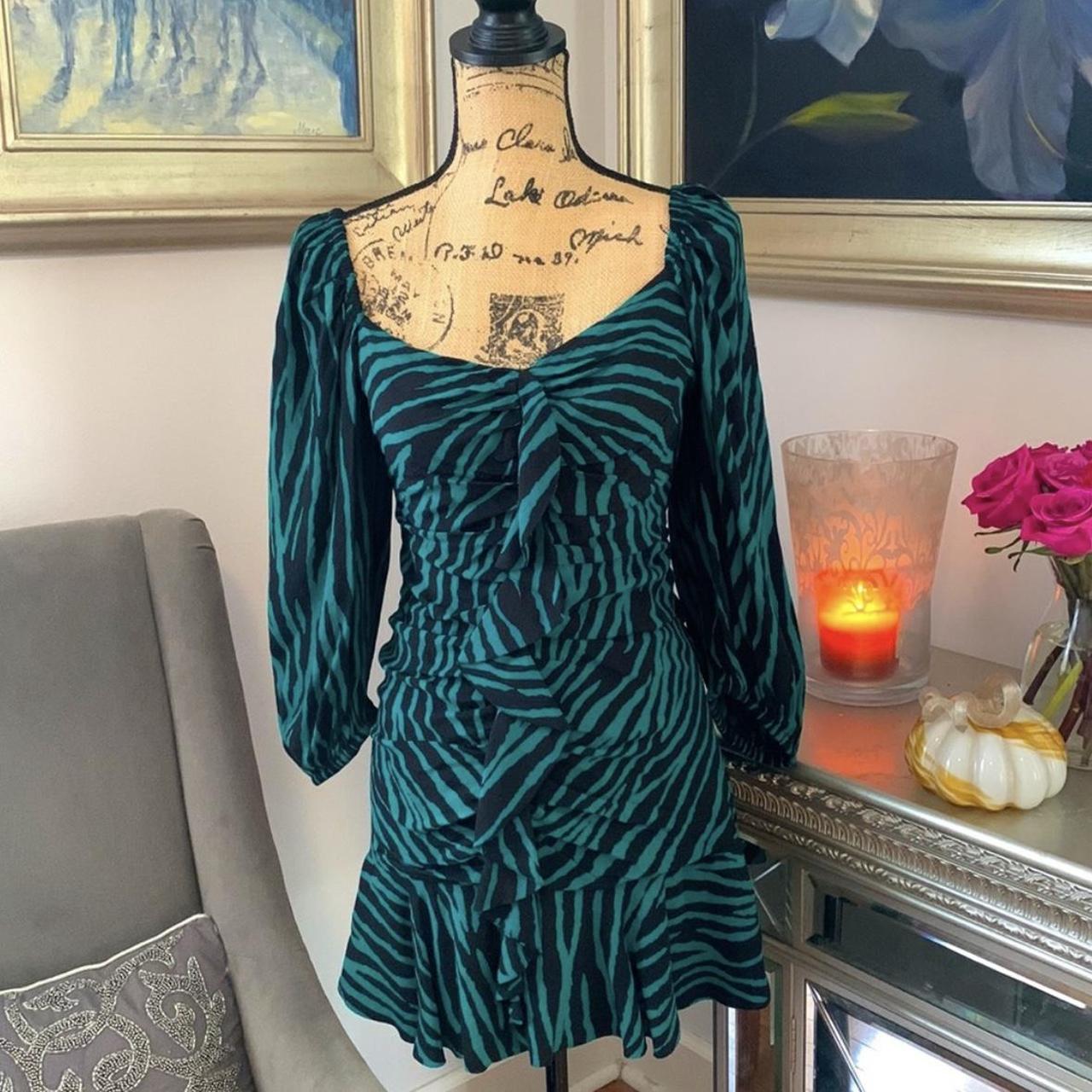 Zara Zebra Print Puffy Ballon Sleeve ruffle Depop