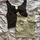 item listed by dan111elle