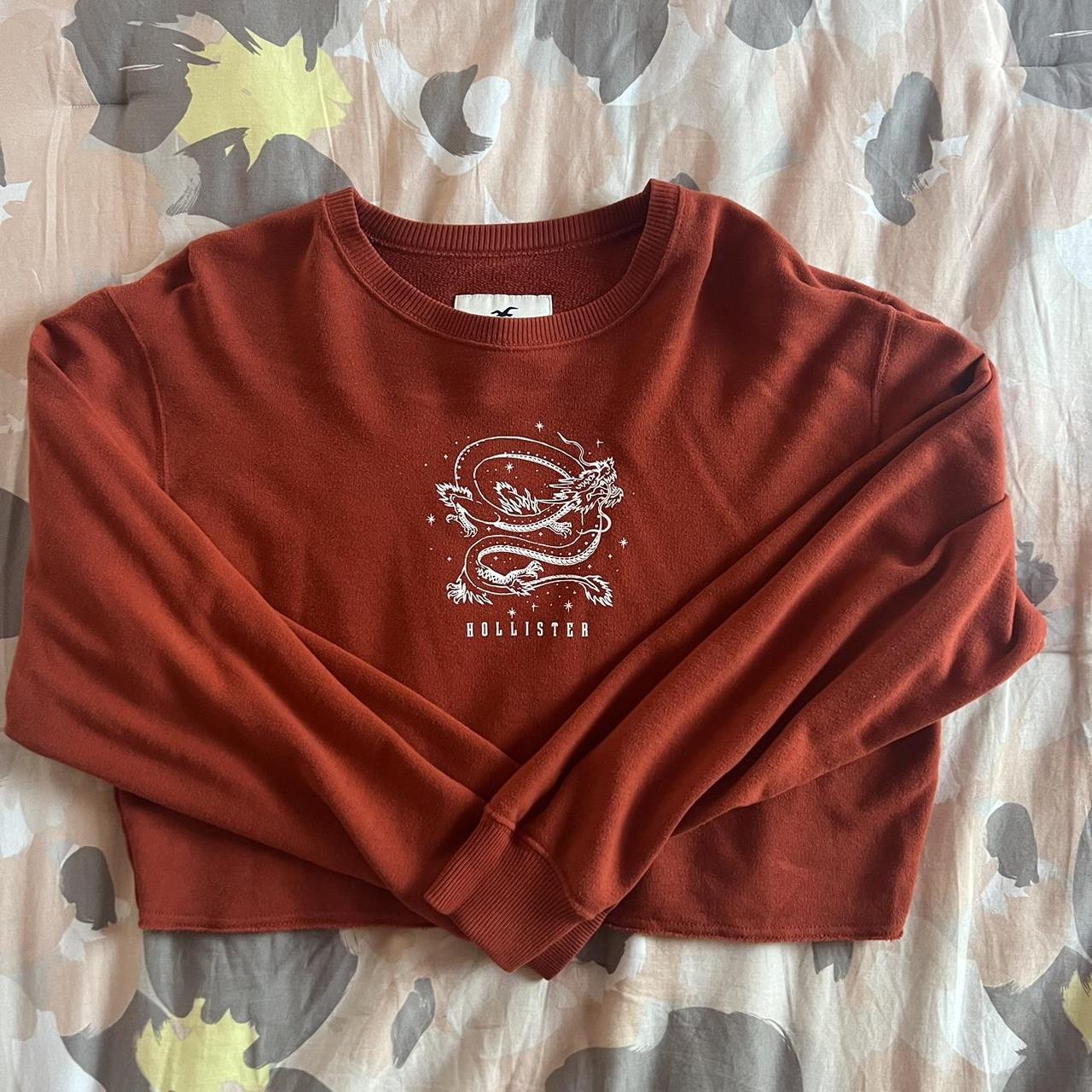 cute hollister long sleeve crop top 🐉 Depop