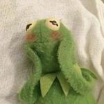 whinnybee's profile picture