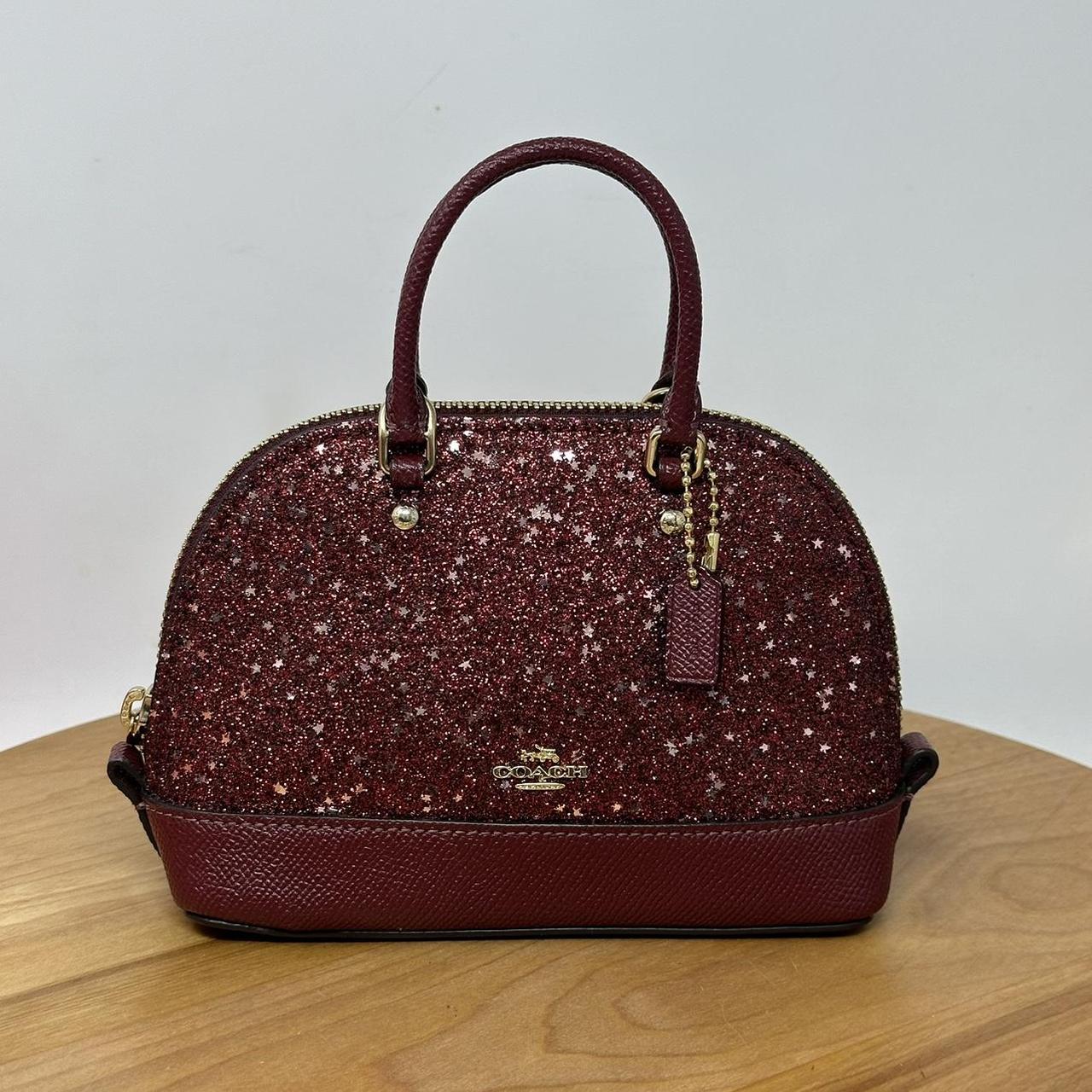 Special Edition shops Shimmery Coach Bag