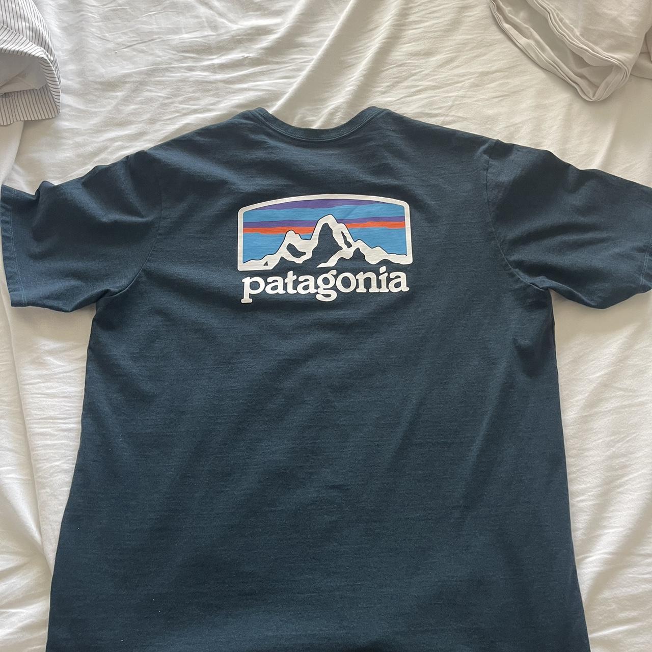 Patagonia short sleeve t-shirt size large send... - Depop