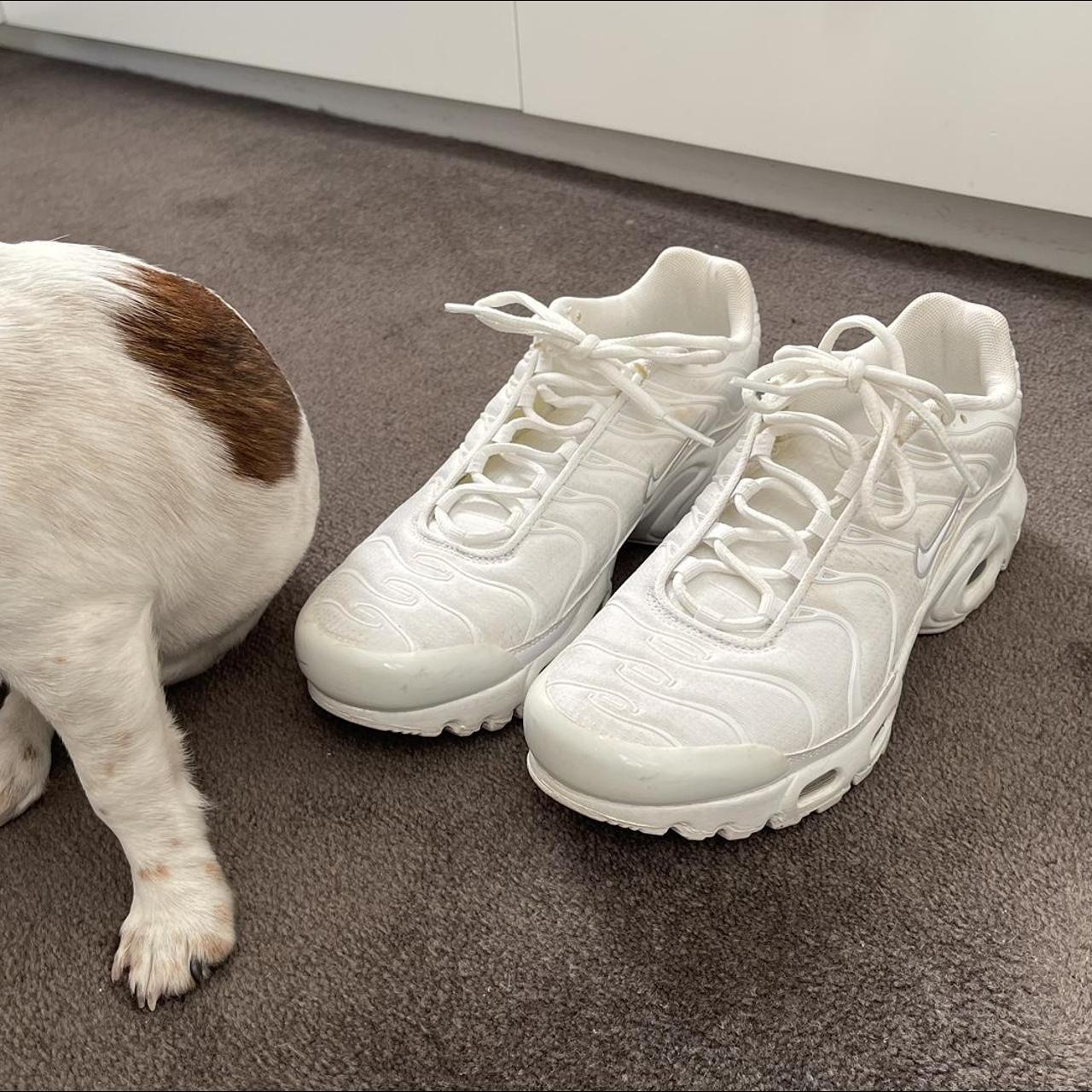 footlocker tns white