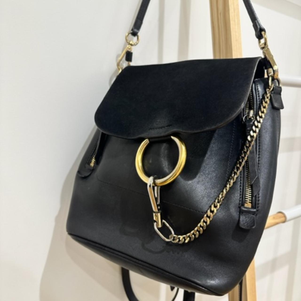 Chloe Faye backpack Leather and Suede