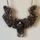 item listed by secondhandinwonderland