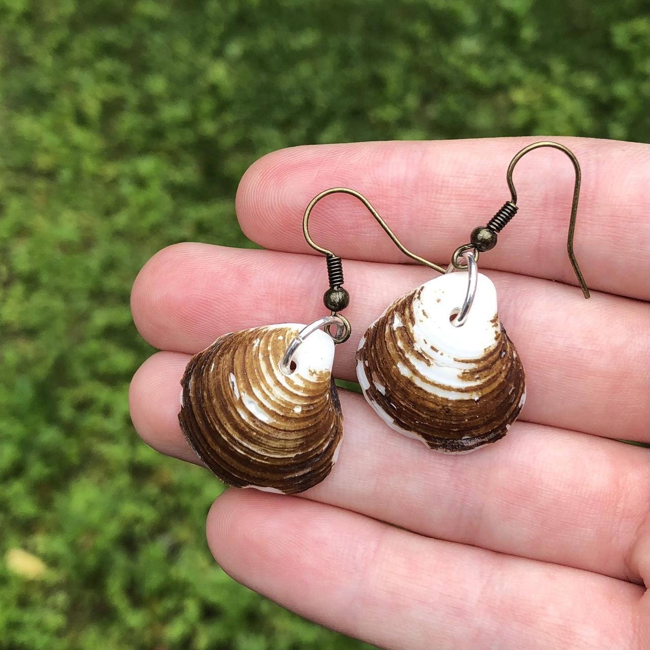 Small deals shell earrings