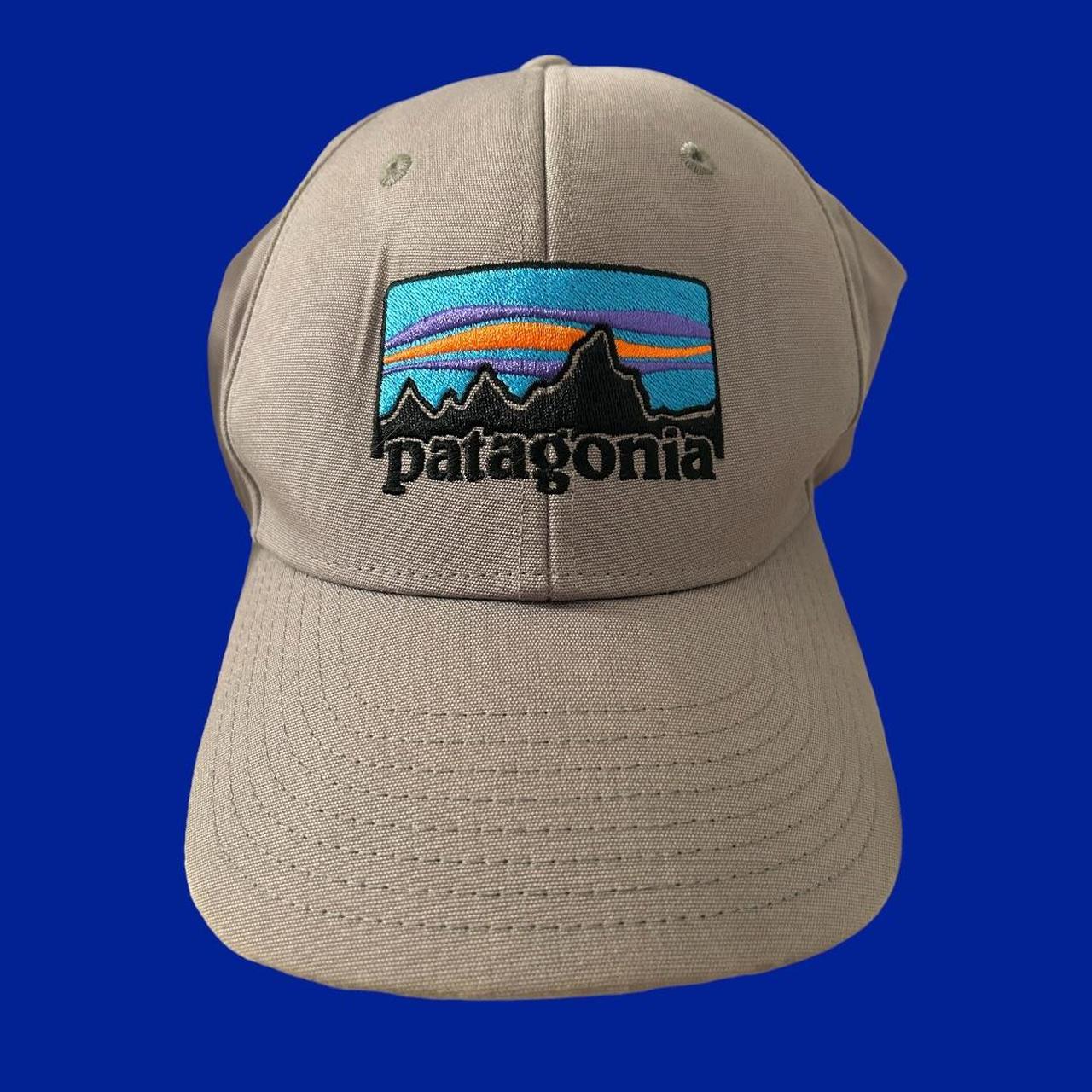 Grey Patagonia Hat