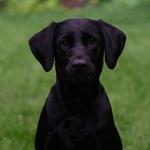 rocko_wear's profile picture