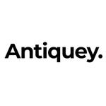 _antiquey_'s profile picture