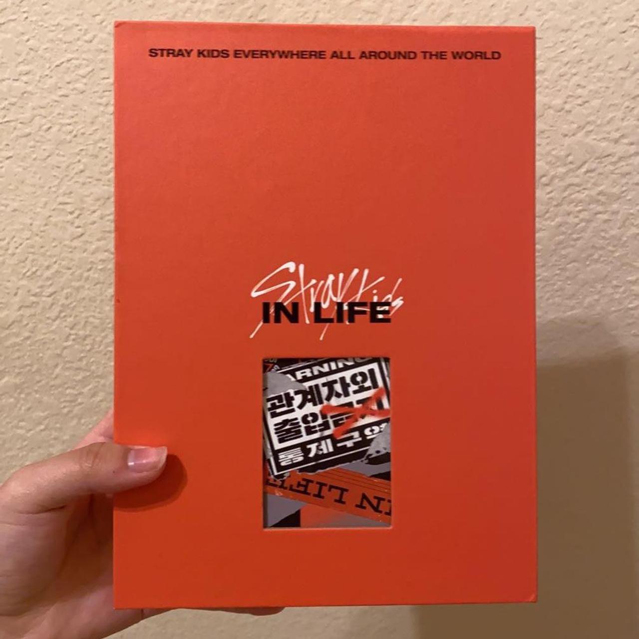 stray kids in life a type ver. ⁺˚⋆｡° ₊ -... - Depop