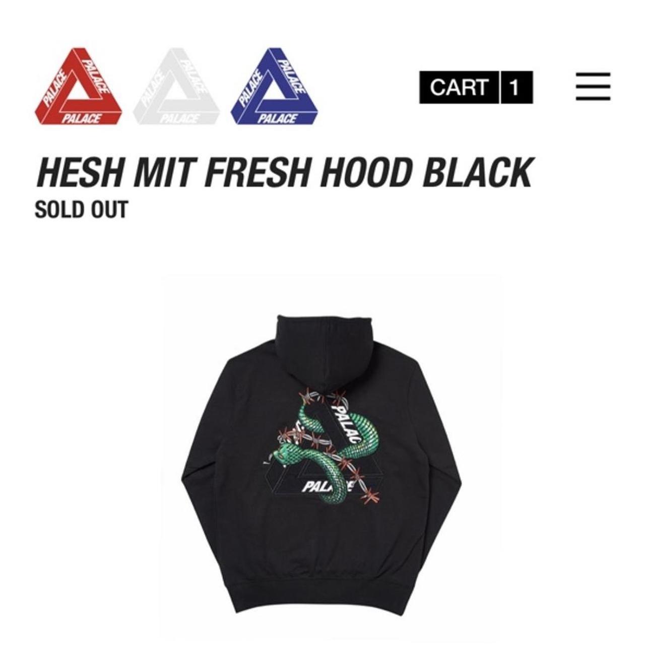 Palace HESH MIT FRESH HOODIE Size L Only worn a Depop