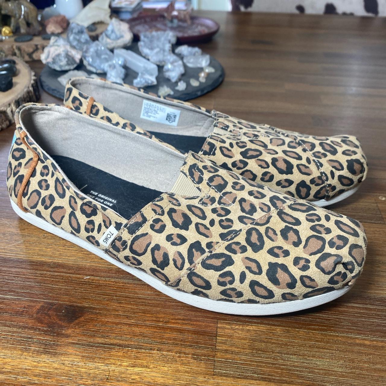 Toms on sale baby cheetah