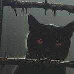 garagezombie's profile picture