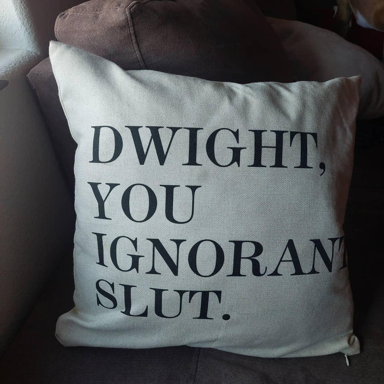 Dwight you 2025 ignorant pillow