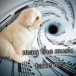 shopschmoobland's profile picture