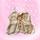 item listed by iwanthercloset