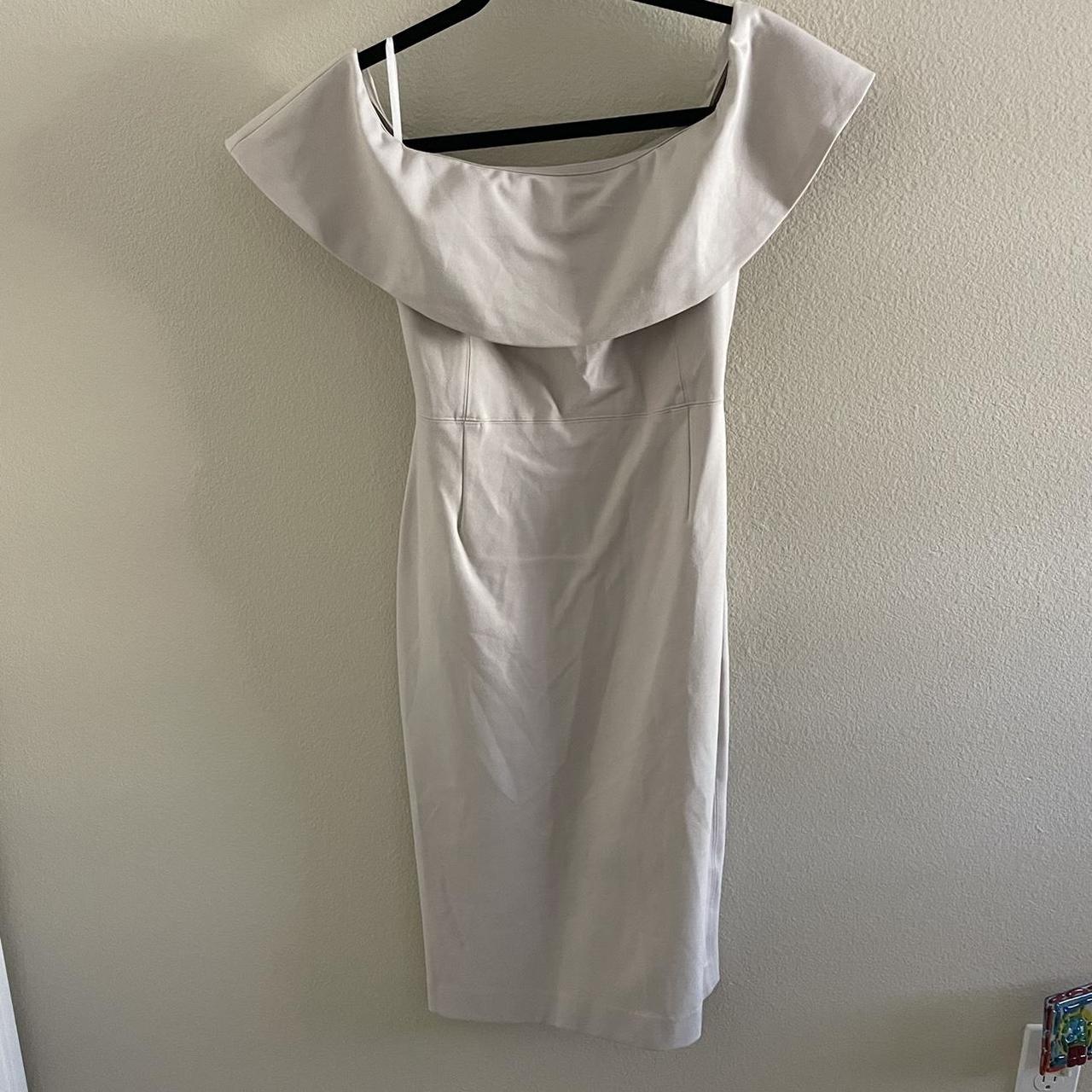 Aritzia discount ruslan dress