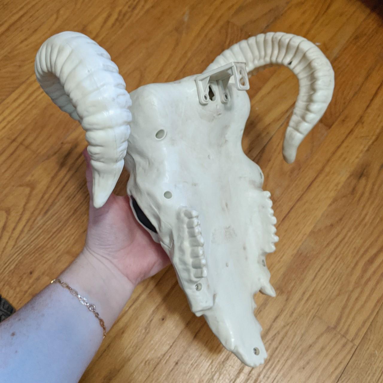 Animal skull decoration (plastic!) originally from... Depop