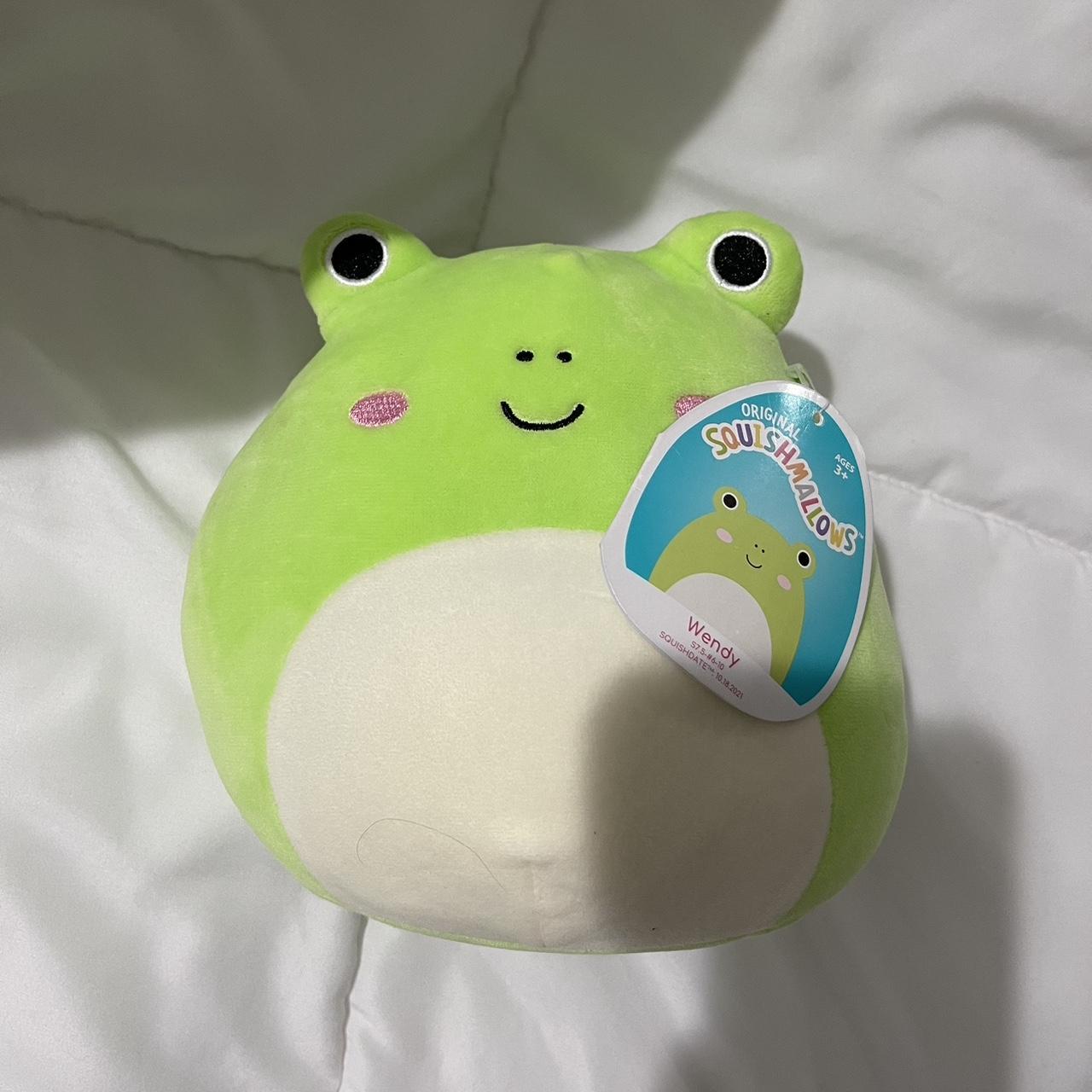 Wendy the frog Squishmallow Comes with original tag - Depop