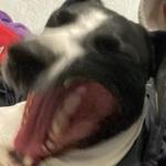 zaksaparker's profile picture
