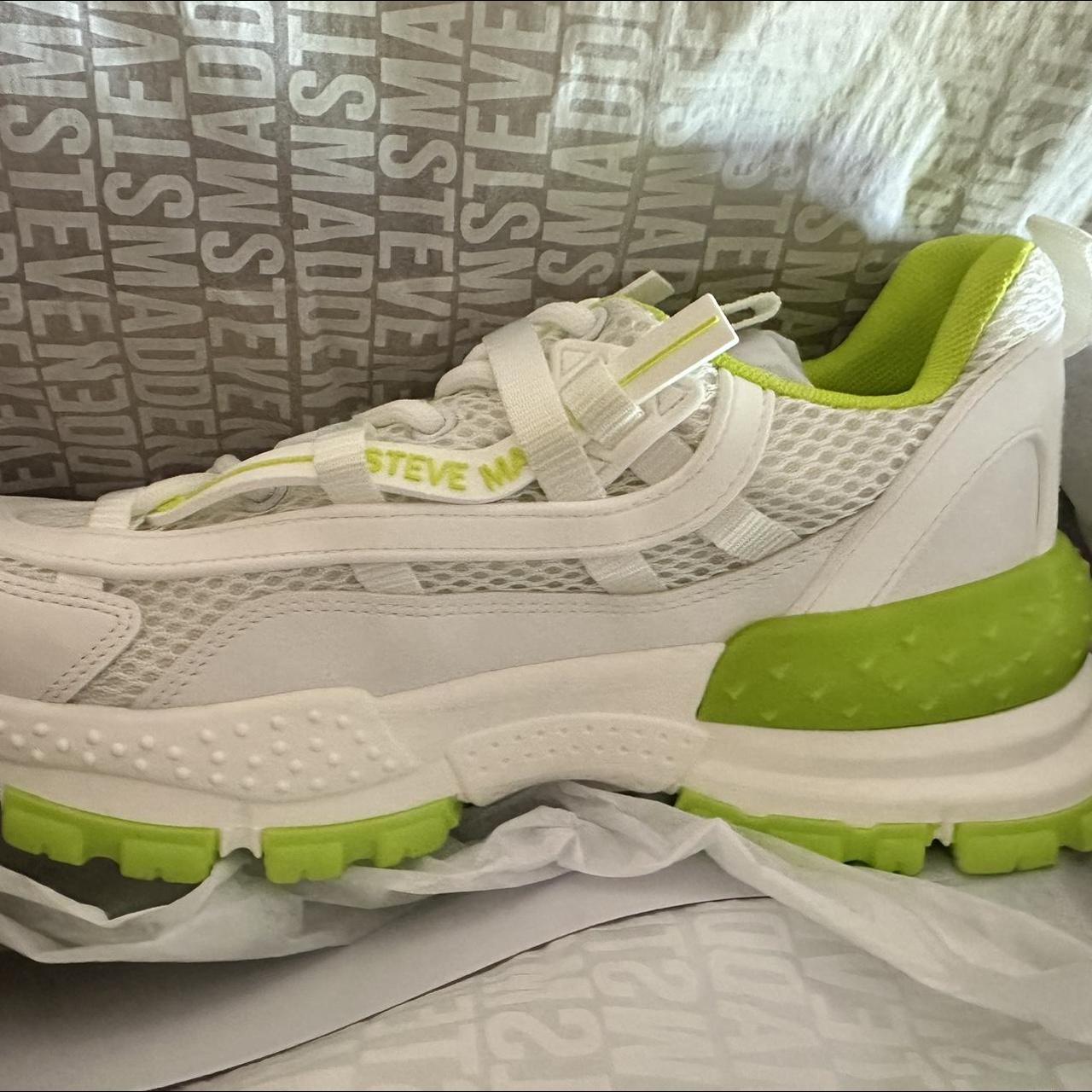 【Steve Madden】Dasher 海外限定 Brand new in box Steve Madden Dragonfly sneakers | Depop