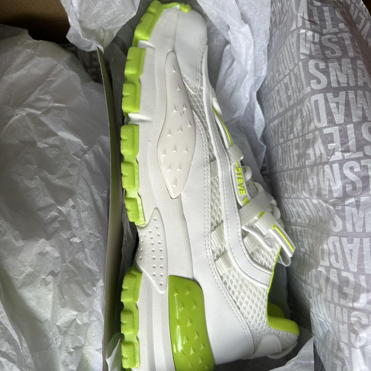 【Steve Madden】Dasher 海外限定 Brand new in box Steve Madden Dragonfly sneakers | Depop