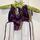 item listed by myvintagethrifts