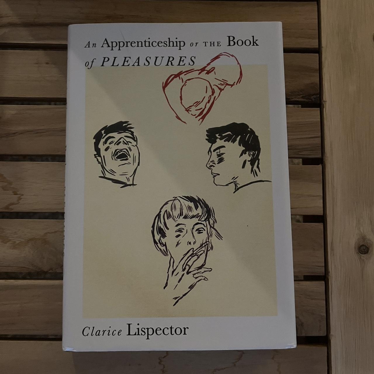 🤍an apprenticeship or the book of pleasures 🤍by... Depop