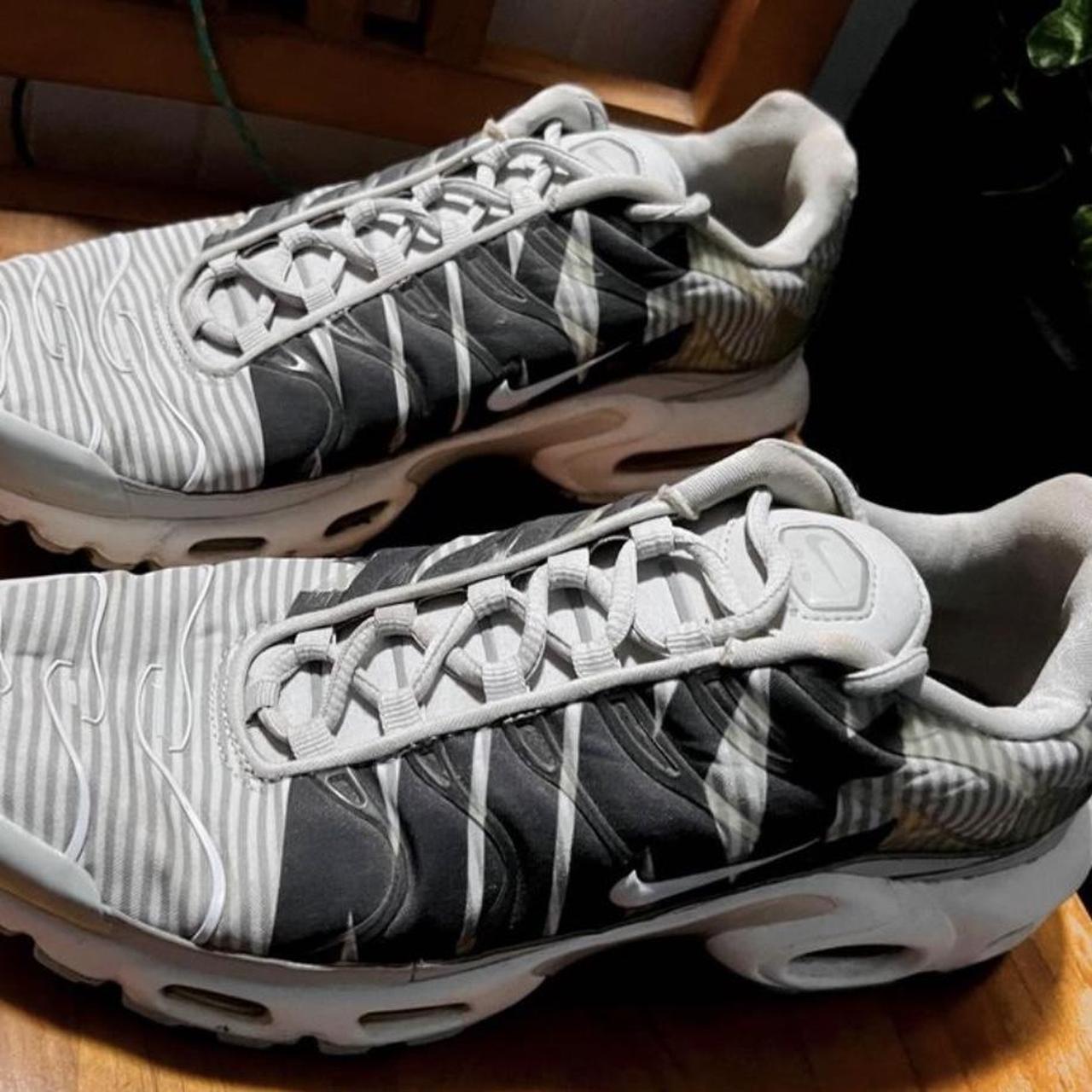 tns wolf grey