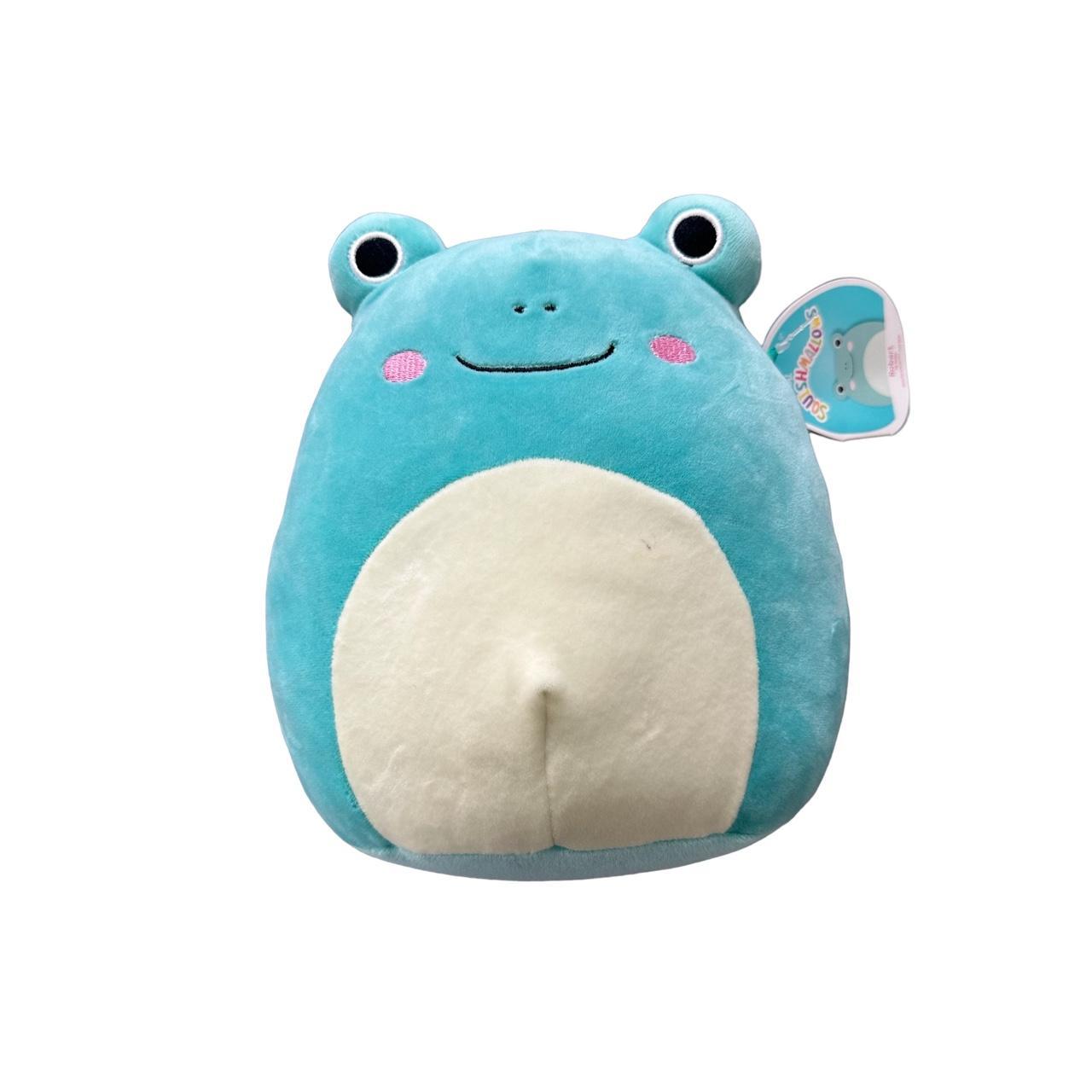 Light blue 8.5 inch frog squishmallow named Robert... - Depop