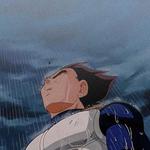 yhase's profile picture