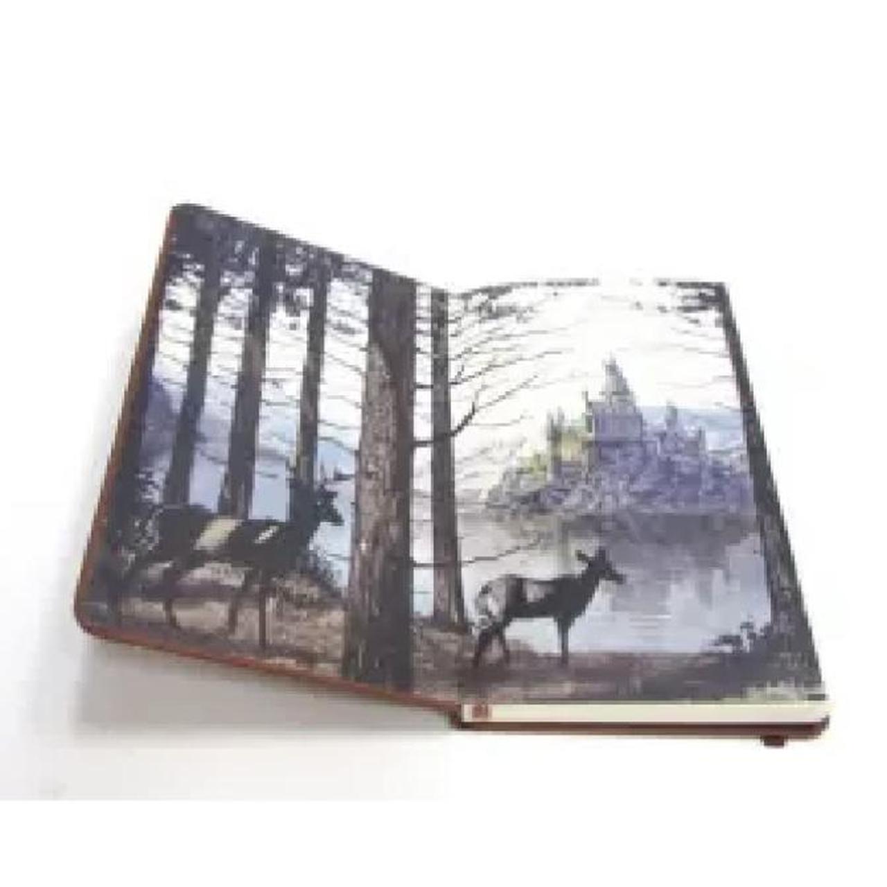 Harry Potter Gold and Brown Books Depop