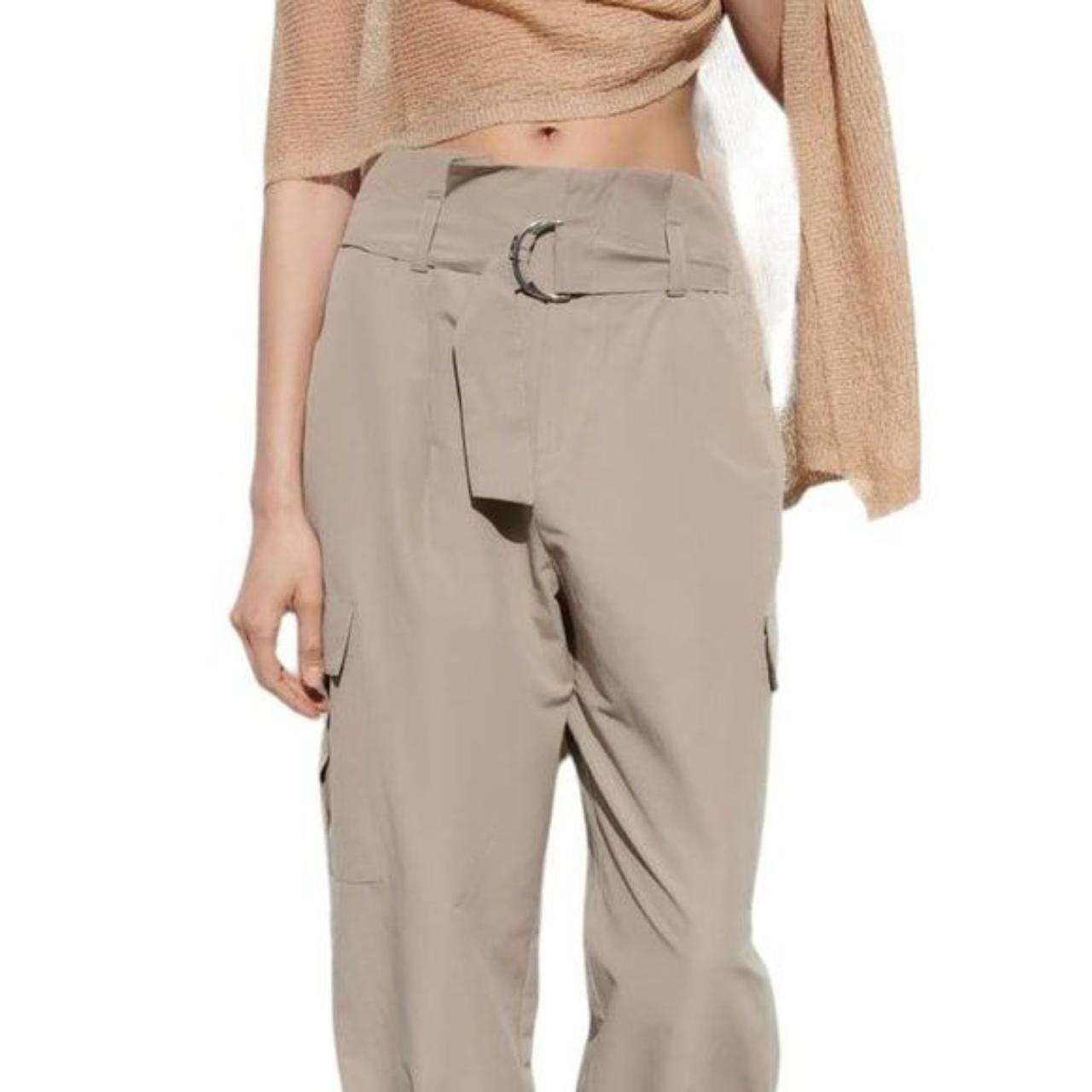 ZARA Metal Cargo Pants for Women