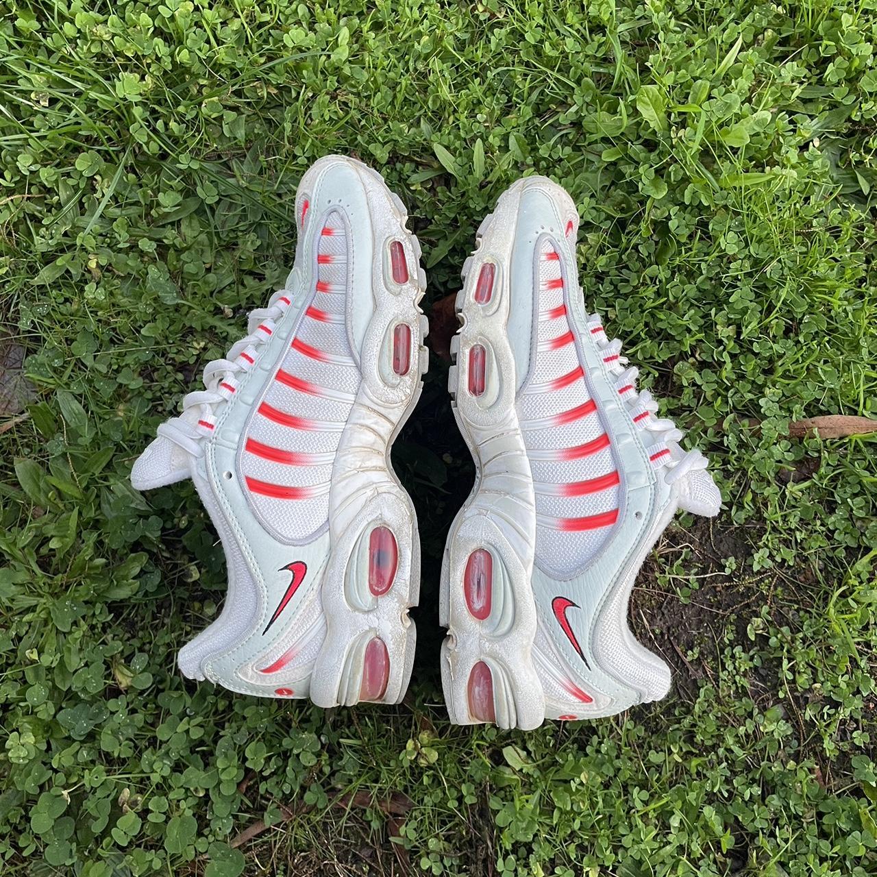 tailwinds red and black