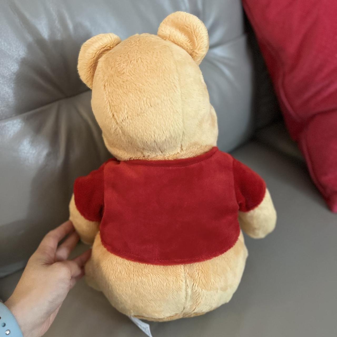 Wine Pooh Disney stuffed animal Depop