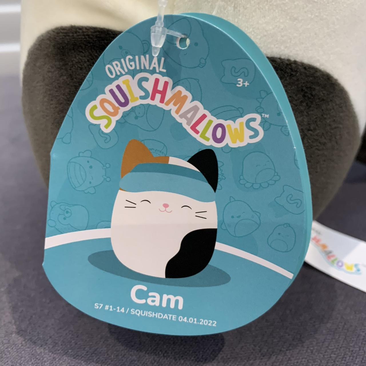 Cam the Cat 7.5” Squishmallow brand new with tags! 🇪🇺... - Depop