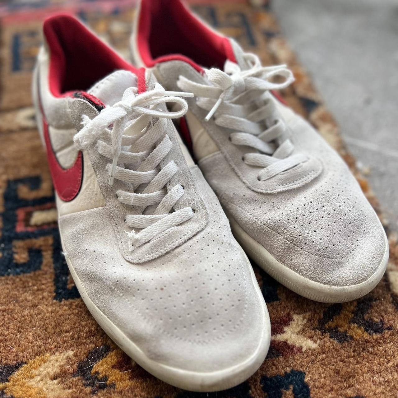 sb team classic men's skate shoe