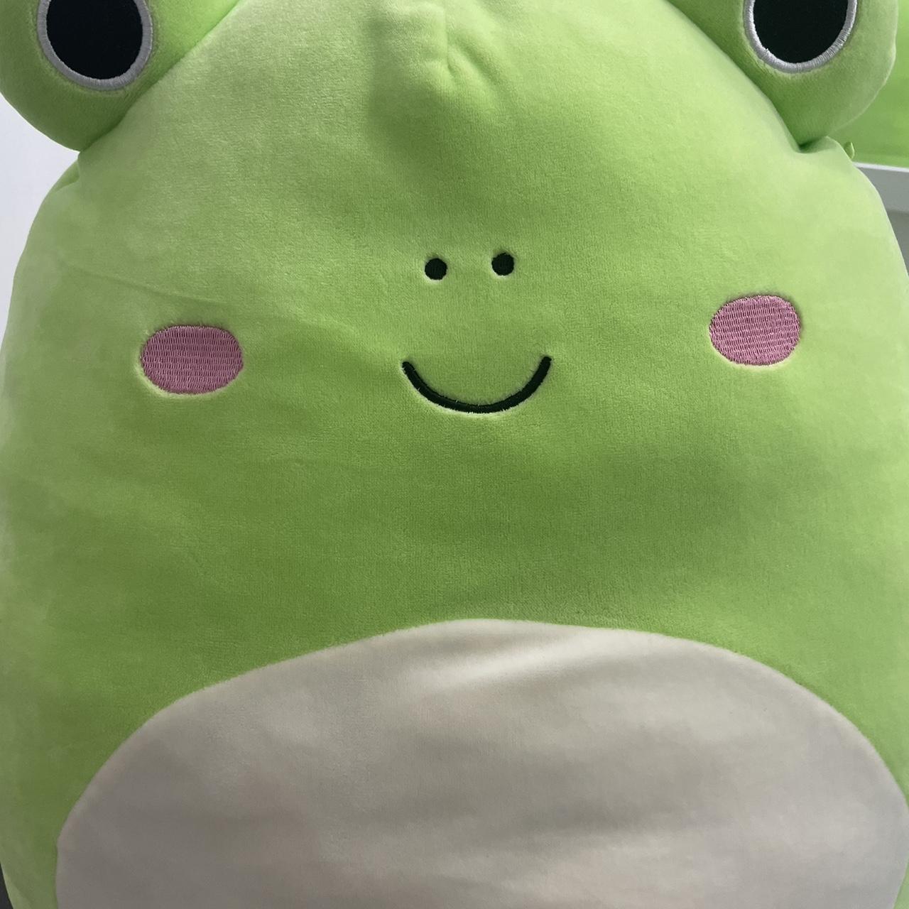 Wendy the frog squishmallow. 16 inches. very hard to - Depop
