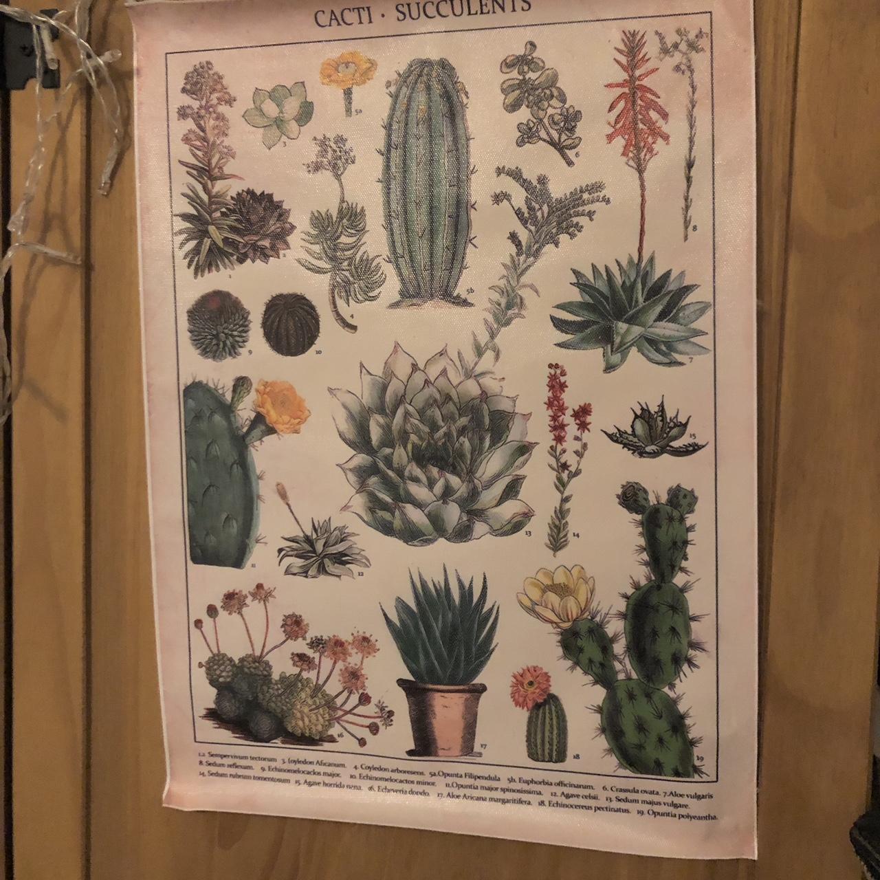 item listed by interestingsuitcasefinds