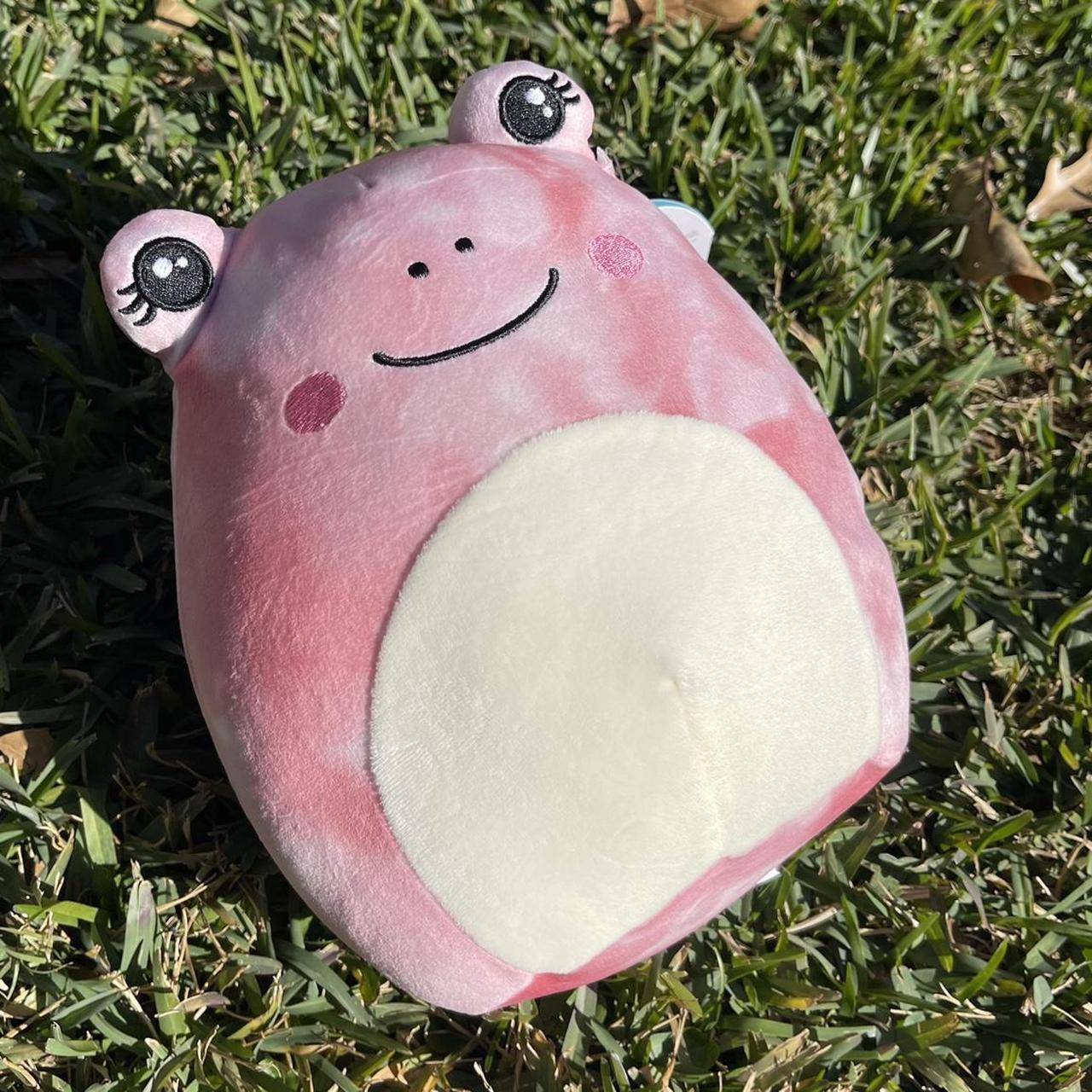 Fanina Squishmallow •BNWT •really cute frog - Depop